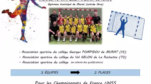 Tournoi inter Académique de handball